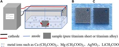 Advancements in incorporating metal ions onto the surface of biomedical titanium and its alloys via micro-arc oxidation: a research review